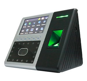 Surveillance-Systems