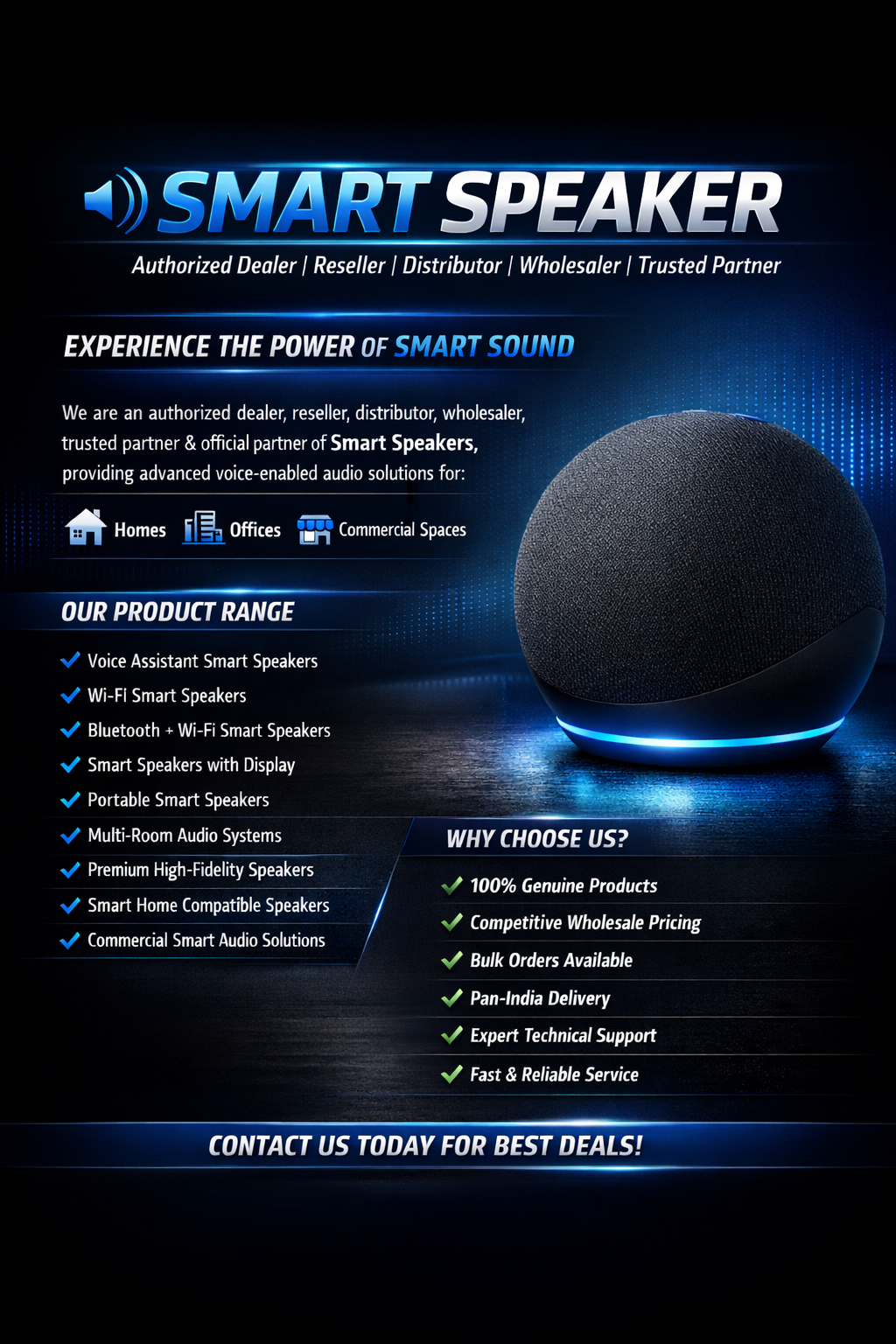 Smart Speaker Government Systems